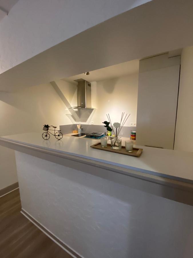 L'Escale Commingeoise Apartment Saint Gaudens Exterior foto